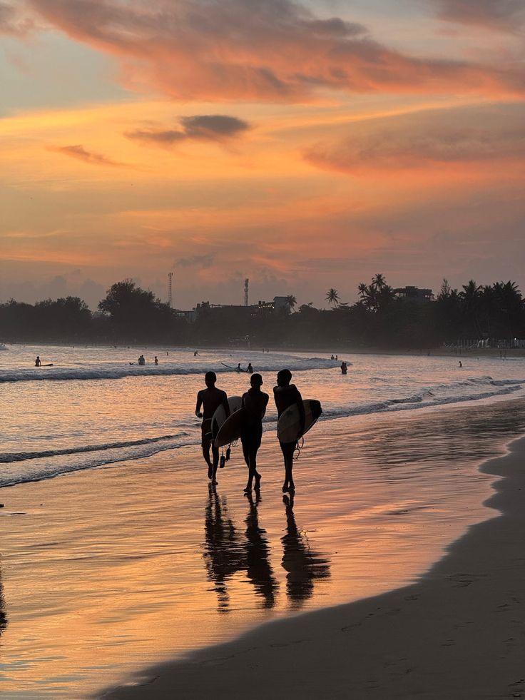 Southern Beaches & Wildlife Safari