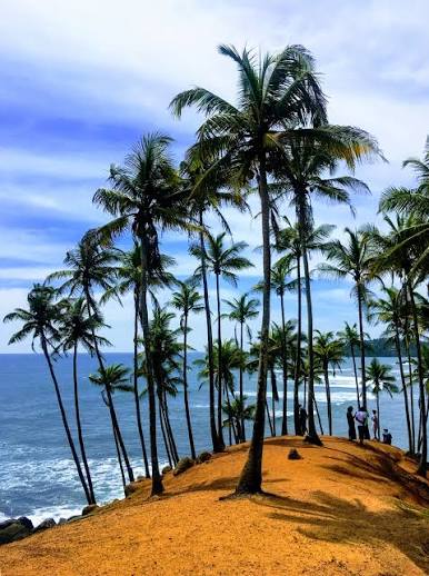 Mirissa Beach & Coconut Tree Hill
